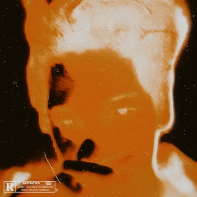 Trapmonster Remix - Single