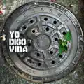 El Baile Contra la Motosierra