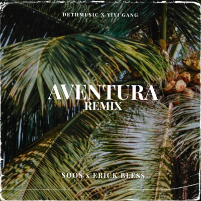 Aventura (feat. Erick Bless) [Remix] - Single