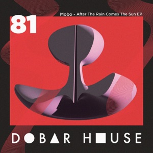 After the Rain Comes the Sun - Single