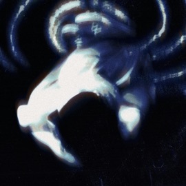 spiral (feat. tigerstar) Kurtis