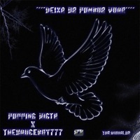 Deixa os pombo voar (feat. TheSauceboy777 & Mininuboum) - Single - Popping Night