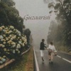 Guzaarish - Single