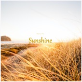 Sunshine artwork