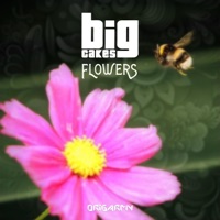 Flowers - Single - Big Cakes