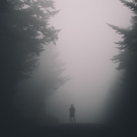 Shimmer - Single - Tryptamind