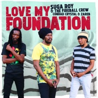 Love My Foundation - Suga Roy, The Fireball Crew Conrad Crystal & Zareb