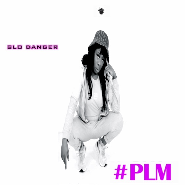 PLM - Single