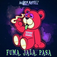 Fuma, Jala, Pasa - Single - Willy Notez