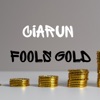 FOOLS GOLD