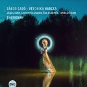 The Promise (feat. Tamás Zétényi, Éva Csermák, János Ávéd & Laurent Blondiau) artwork