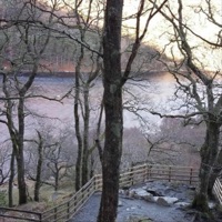 Can't Shiver - Single - Greenwood