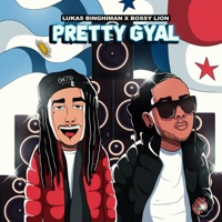 Pretty Gyal (feat. Bossy Lion) [Remix] - Single - Lukas BinghiMan