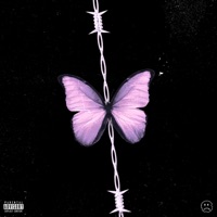 Feelings - Single - DBA