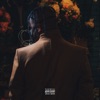 Renegade cover art