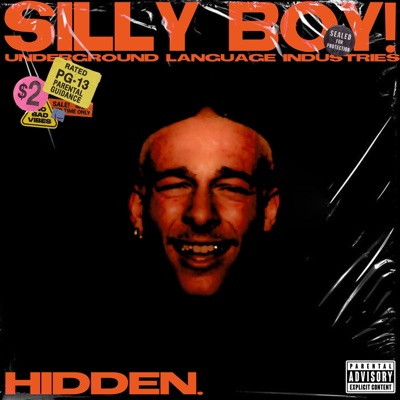 Silly Boy! - Single