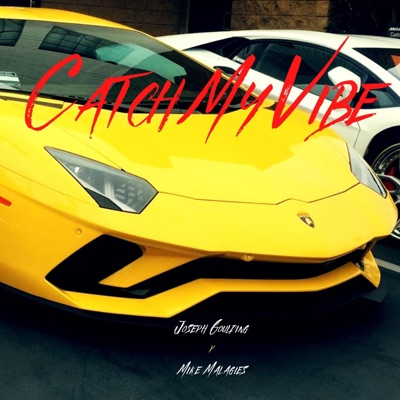 Catch My Vibe - Single