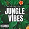 Jungle Vibes (feat. Big Jungle) - DTC Vibe lyrics