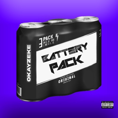 Battery Pack - Single