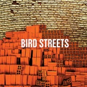 Bird Streets - Until the Crown