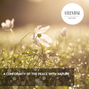 A Conformity of the Peace With Nature