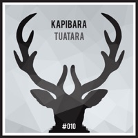 Tuatara - Kapibara