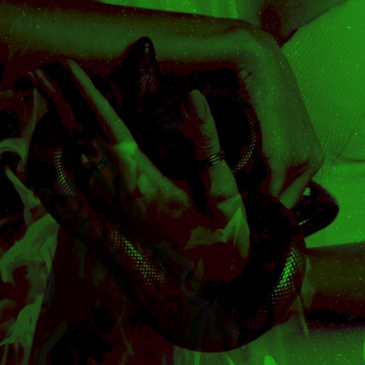 Venom In Your Scars (feat. Pillow1x) - Single