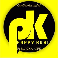 Life (feat. blacka) - Single - Pappy Kubi