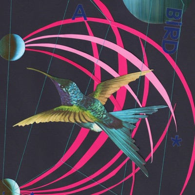 Escape with a Bird (feat. Swantje Tessmann) - Single