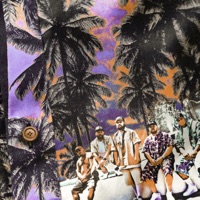 312 DAY - Single - SWIDT