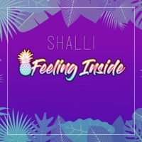 Feeling Inside - Single - Shalli