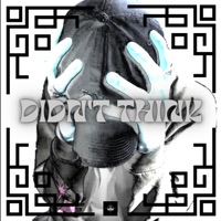 Didn't Think - Single - 2Havic