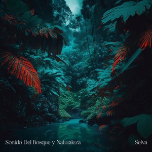 Selva