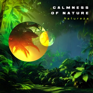 Calmness of Nature