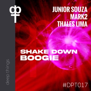 Shakedown Boogie - Single