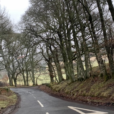 I Can't Tell If You Ever Cared So I Guess I'll Just Not Think About It (feat. Barelyanygood) - Single