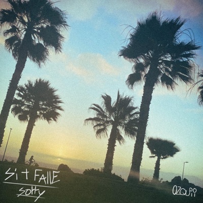 Si t fallé sorry - Single