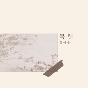 Magnolia - Single