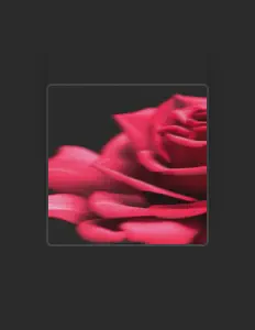 Hör dir MØRI an, schau dir Musikvideos an, lies die Biografie, finde Tourdaten und mehr!