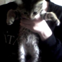 G Starr - Single - xenx