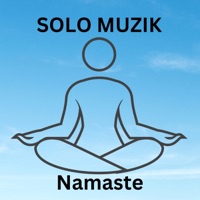 Namaste - Single - SOLO MUZIK