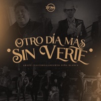 Otro Día Más Sin Verte - Single - Conjunto Peña Blanca & Grupo Legítimo