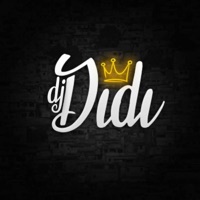 Ela senta pra não Machuca - Single - DJ DIDI