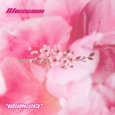 Blossom - Single