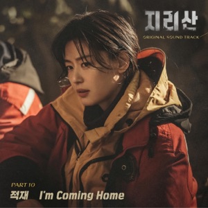 Jirisan (Original Television Soundtrack) Pt. 10 - Single