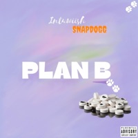 Plan B (feat. Snap Dogg) [Bronco Boy Edition] - Single - Intuwiish