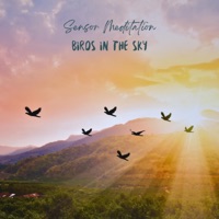Birds in The Sky (feat. Flame Timo & Matay Music) - Single - Sensory Meditation