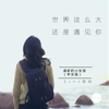 Echo - The World Is So Big, Still Meeting You artwork