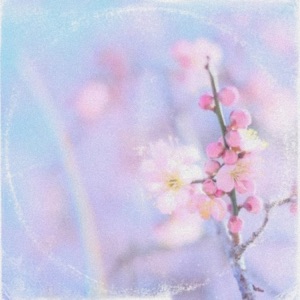 Pastels