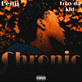 Chronic (feat. Trizydakid) Ben X3